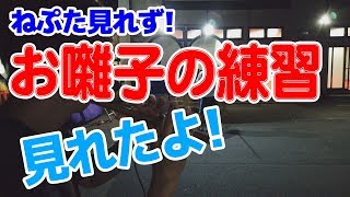 ねぷたがちょうど見れなくて…お囃子の練習を見てきました!