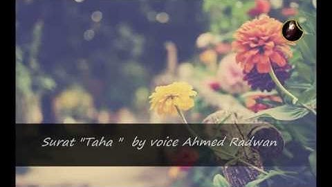 Ahmed Radwan -  Surah Ta-Ha I أحمد رضوان - سورة طه