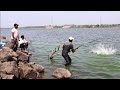 Unbelievable fishing 8kg rohu fish catching with single hookbig rohu fish catching tiqunics