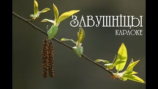 ПЕСНЯРЫ – «Завушніцы» караоке | PIEŚNIARY – «Zavušnicy» | «The Earrings» Belarusian Karaoke