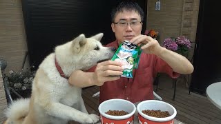 ドッグフード嫌いな秋田犬がちゅーるをかけると食べるか検証してみた！