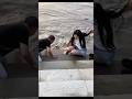 【感動の瞬間】濁流から少年を救出！名もなき英雄と見知らぬ人々が繋いだ「命の鎖」🥺