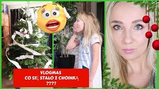 Choinka Ubrana W Papier Toaletowy ??? Vlogmas