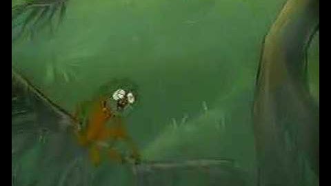 Papyrus Videofragment