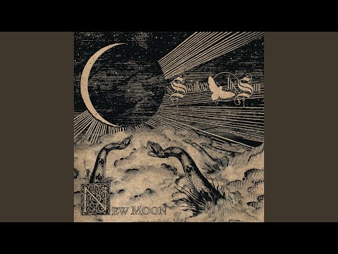 Lights On The Lake (Horror Pt. III)