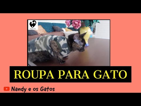 Vídeo: Como Amarrar A Roupa De Um Gato