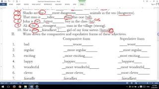Ele Unit 11 grammar homework