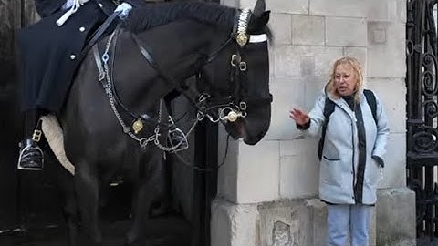 Extending her hand, she moved closer to the majestic horse. 
