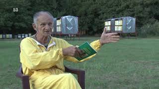 Zazimljavanje Pčela Na Prirodan Način - Bez Trunke Sećera - Šta Se Dobija Time