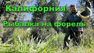 Димин первый влог. Рыбалка в Калифорнии. Речная форель.