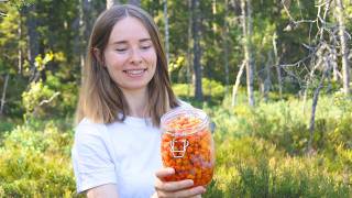 Foraging Wild Mushrooms, Berries & Trout in the Northern Forests