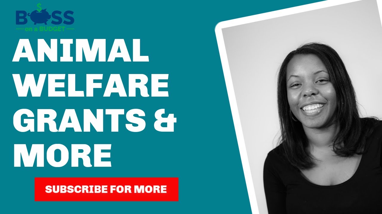 grant-opportunities-for-nonprofits-12-29-2020-youtube