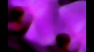 ZWS_Gemine_pt3_2008nc.avi