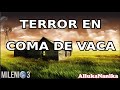 Milenio 3 - Terror en coma de vaca / Algo pasa en marte