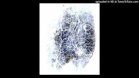 3rd wave meets noise engineering Granulita Versio