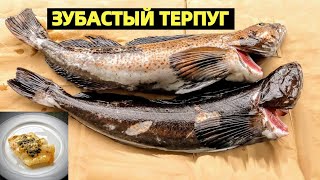 видео: РАЗДАЧА МОРСКОЙ РЫБЫ С БЕРЕГА НА ТИХОМ ОКЕАНЕ В США. РЕЦЕПТ. РЫБА И ЛИМОННЫЙ ЧЕСНОЧНЫЙ СОУС. РЫБАЛКА картинка: РАЗДАЧА МОРСКОЙ РЫБЫ С БЕРЕГА НА ТИХОМ ОКЕАНЕ В США. РЕЦЕПТ. РЫБА И ЛИМОННЫЙ ЧЕСНОЧНЫЙ СОУС. РЫБАЛКА