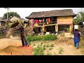 Country Lifestyle In Tarai Regan Nepal || Traditional Lifestyle In Village || Village Life Of Nepal