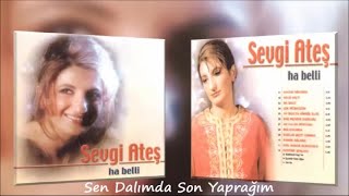 Sevgi Ateş - Sen Dalımda Son Yaprağım - (Official Audıo)