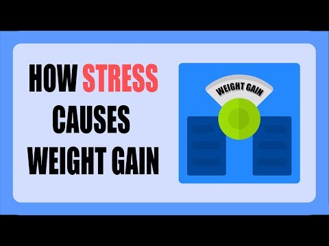 How Stress can cause Weight Gain + Ways you can Prevent it.