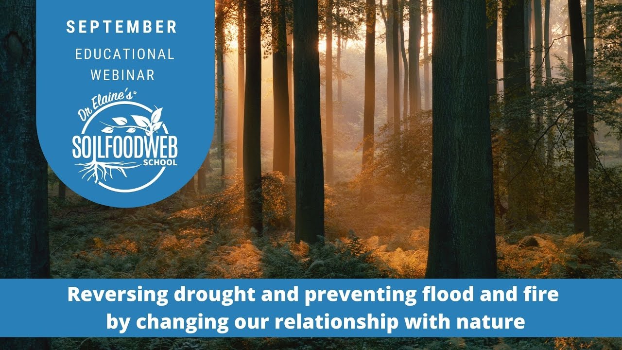 Reversing drought and preventing flood and fire by changing our relationship with nature