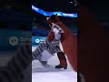 冬季五輪ペアフィギュアスケート〜犬と猫が仲良く滑る〜