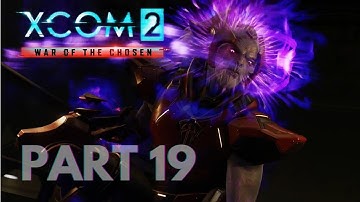 Do This One Thing To Extract More Knowledge // PART 19 // Let