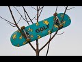 Custom Tyler the Creator Skateboard!!