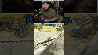 Tis A Flesh Wound On