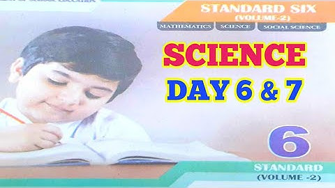 6th Science Day 6, Day 7 Answers