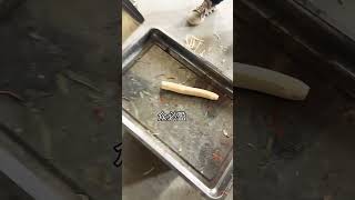 Cassava peeling is clean, quick and easy.#木薯削皮机