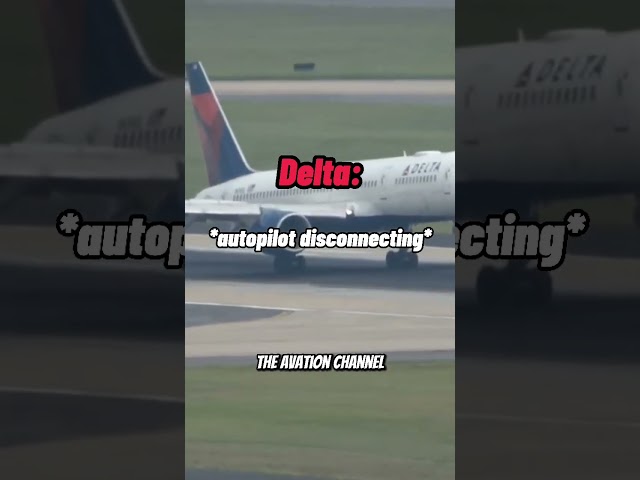 Delta vs Spirit 🤣 || Funny ATC class=