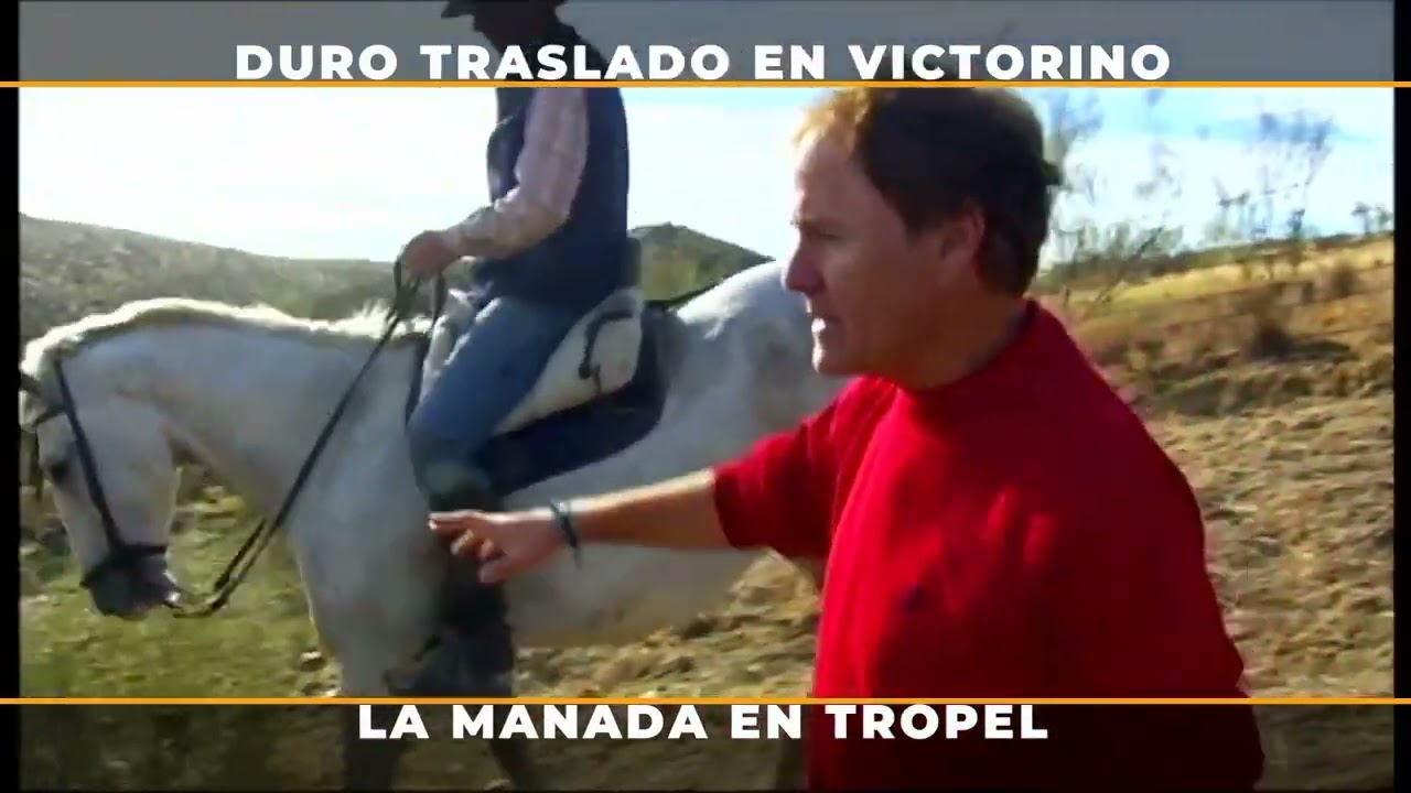 Duro Traslado En Victorino Martin