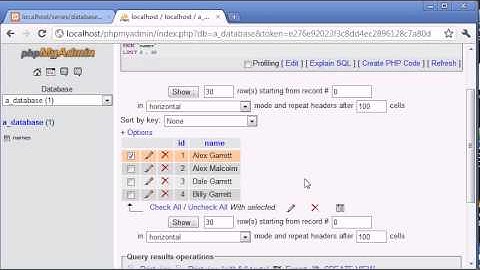 Beginner PHP Tutorial - 130 - LIKE With a Search Engine Example Part 1