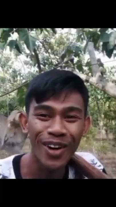 Video lucu pepatah thailand mengatakan | bikin ngakak🤣#shorts
