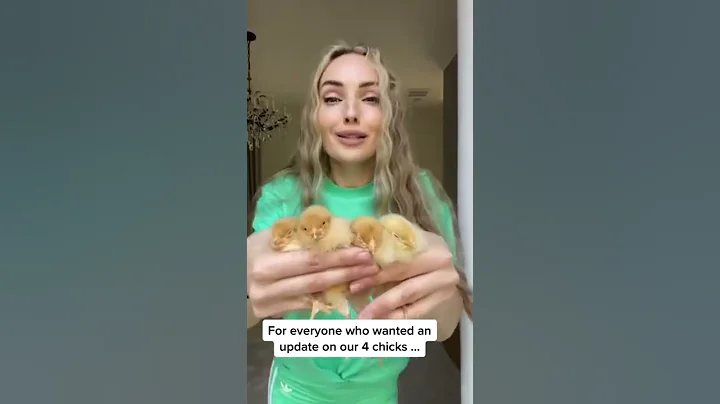 Chicks grew in 4 months.. - DayDayNews