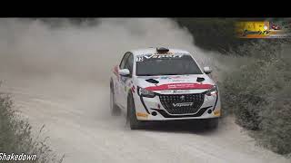 31° RALLY ADRIATICO RICCIARDI - BARTOLUCCI PEUGEOT 208 RALLY 4 RC4N