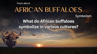 African Buffalo Fact 29 - What do African buffaloes symbolize in various cultures?