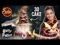 Harry Potter XXL Cake 3D / Motivtorte / Sallys Welt