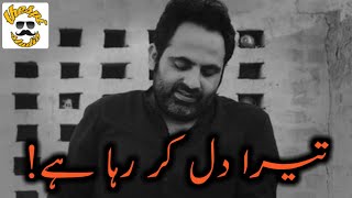 Tehzeeb Hafi New Poetry Status | Urdu Poetry | Shandaar Ho | New WhatsApp Sad Poetry Status