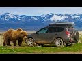 Tips for Car Camping in Bear Country (and Sleeping in Your Car!)