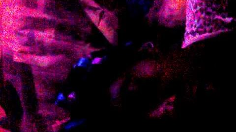 December 31, 1979 11:00 PM