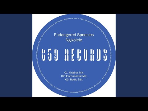 Ngixolele (Radio Edit)