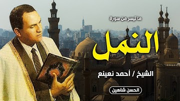 إبداع ما بعده إبداع من الشيخ احمد نعينع | سورة النمل | المسجد الكبير بمسطرد 1998 | جودة عالية
