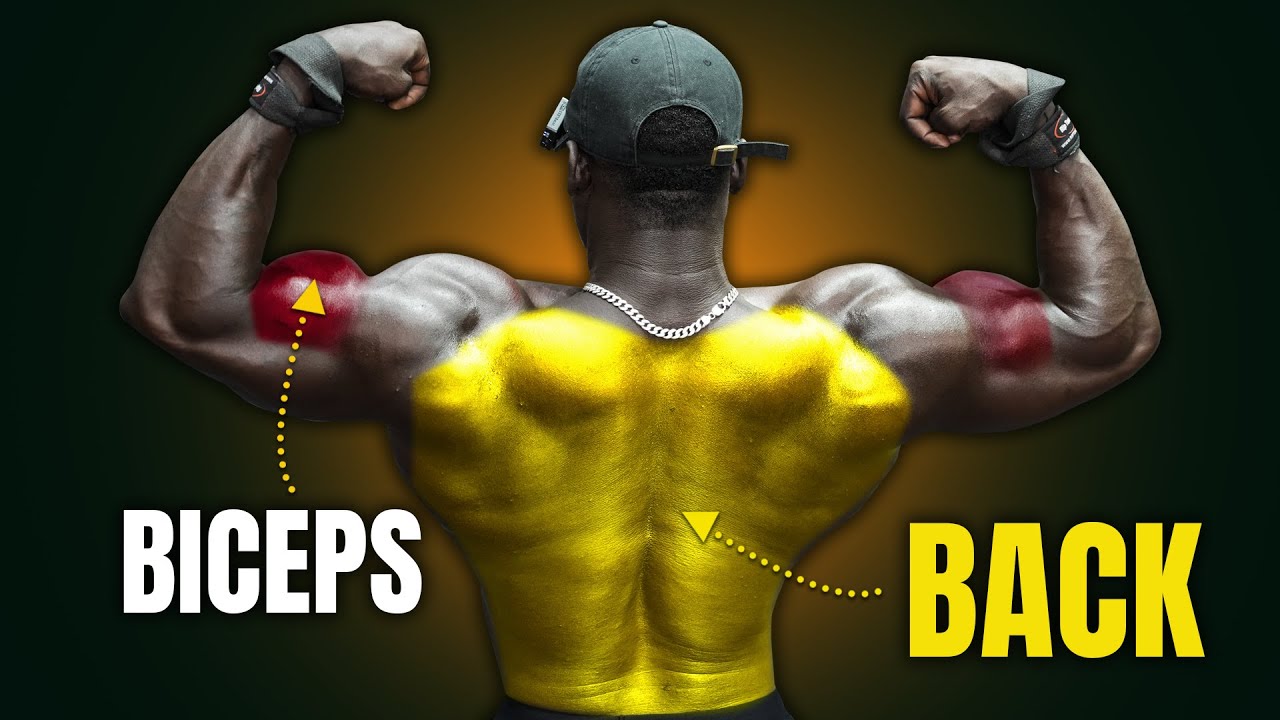 Идеальная тренировка для наращивания мышечной массы (спина и бицепсы)