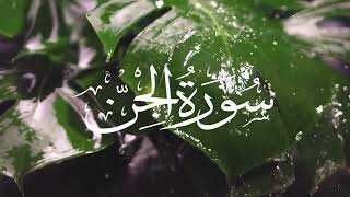 Surah Jinn | Beautiful Quran Recitation | Ali al-Huthaify | Qaloon