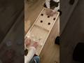 DIY-Anleitung für ein "Klipp-Klapp" Spielbrett🧰🎯♥️🎱 #diy #DIYGames  #CraftingProject #shorts
