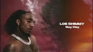 Loe Shimmy - Say Hey [ Visualizer]