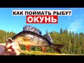 Как поймать рыбу в Финляндии. Окунь.