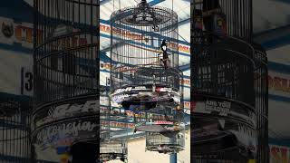 2026 08 17 14 11 IMG 2140