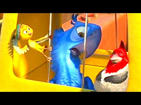 Blu Conhece Nico e Pedro | Rio (2011) DUBLADO HD
